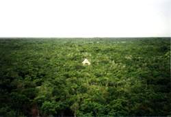 Blick von der Pyramide in Coba