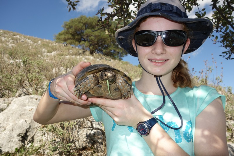 Maren mit Schildkrte