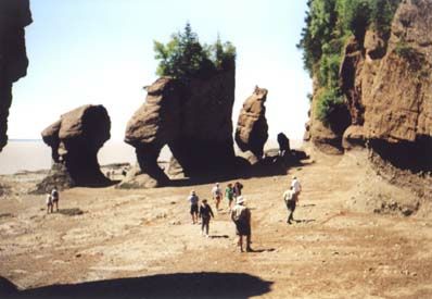 Hopewell Rocks, Ebbe