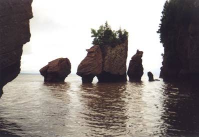 Hopewell Rocks, Flut