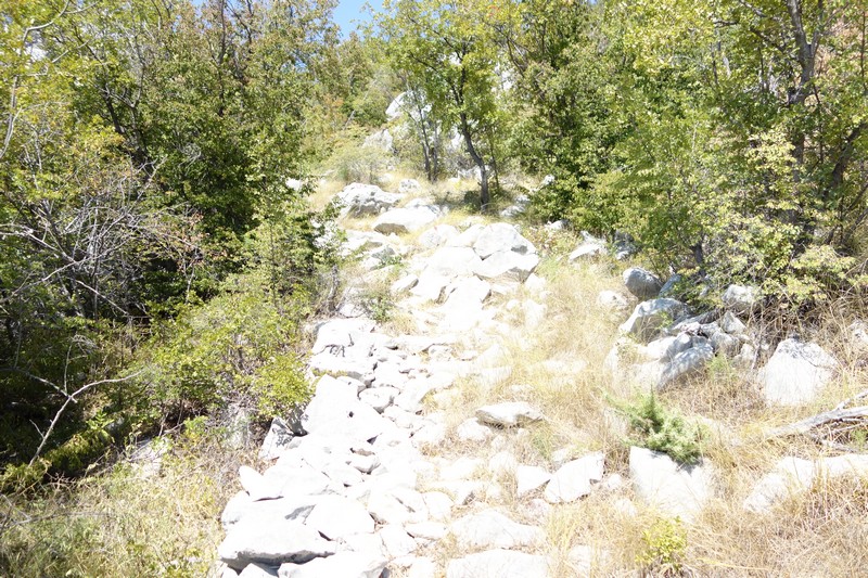 Der Weg
