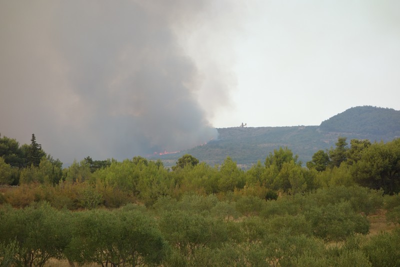 Waldbrand mit Lschflugzeug