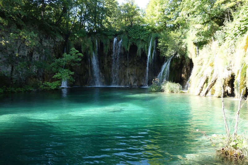 Wasserflle am See